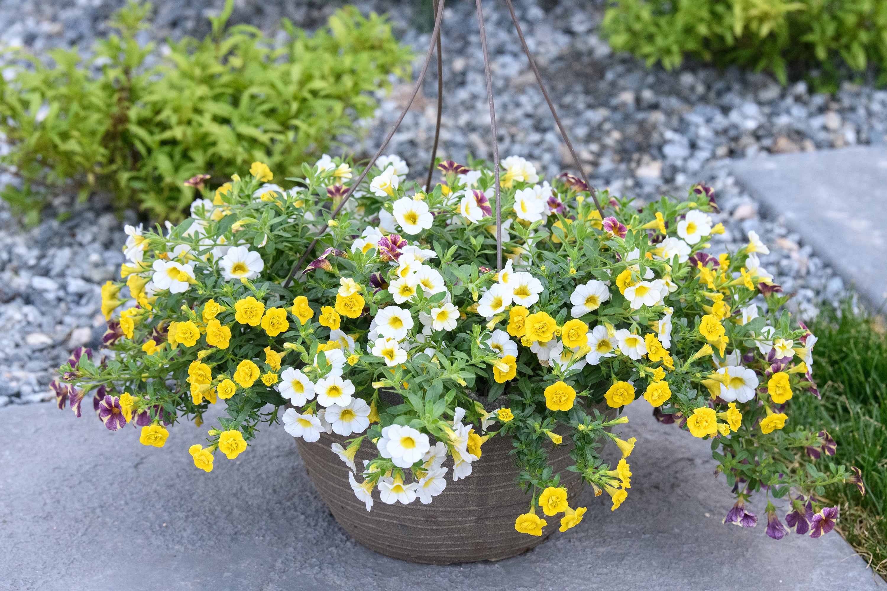 Impressions Dutch Heritage Gardens